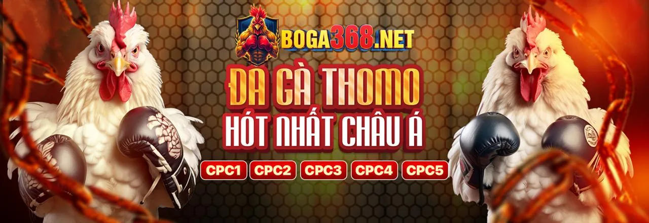 Chiến lược cá cược Thể Thao Thabet