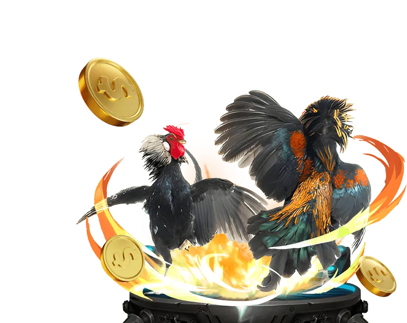 Quản lý vốn cá cược